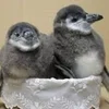 安定した集客力で短時間×高収入♪のサムネイル