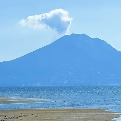 お店の特徴その2