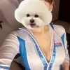 かい
