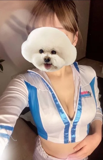 かい