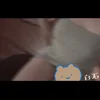 白石
