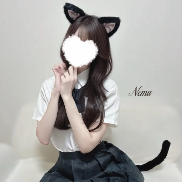 今週のご案内