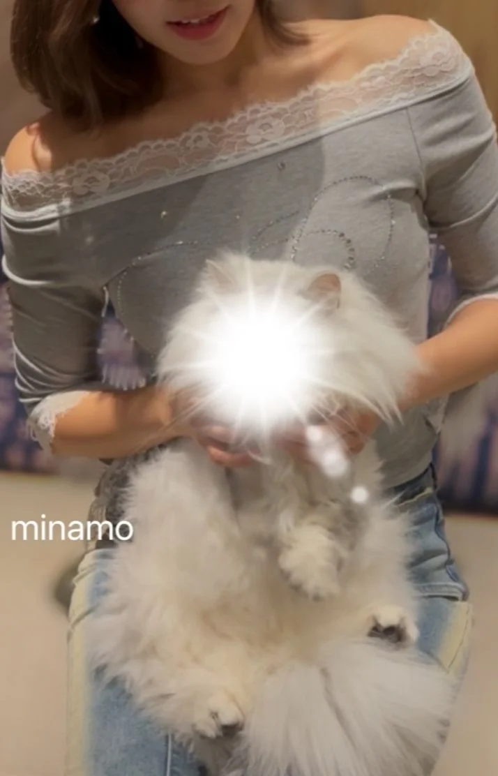 猫権