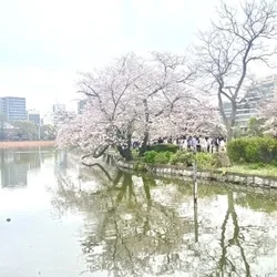 4月の始まり🌸あいる