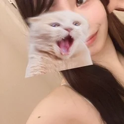 もえ