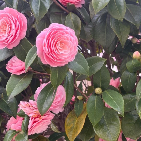 15時から出勤🌟
