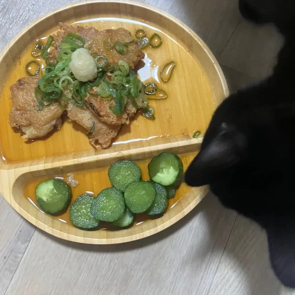 えのきで腸活　　