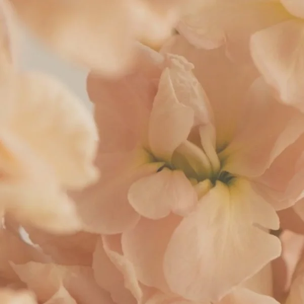 5/30 きょうも出勤ありがとうございました🥰