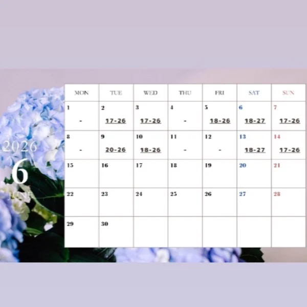 .ﾟ*❁⃘出勤日❁⃘*.ﾟ