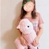 ひなの
