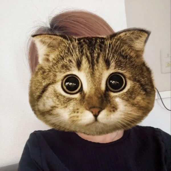 おはようございます