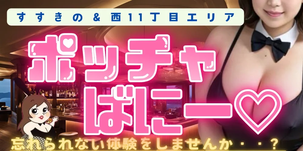 ポッチャばにーのカバー画像