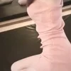 さつき蘭