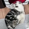 お客様と会話で得ることのサムネイル