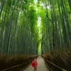 震えていた手と、変わっていった目の話②のサムネイル