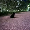 震えていた手と、変わっていった目の話②のサムネイル