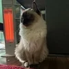 ❤️‍🔥講習ってどんな事するの？❤️‍🔥のサムネイル