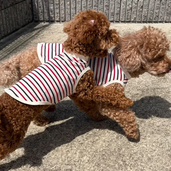 今日は木曜日❤️