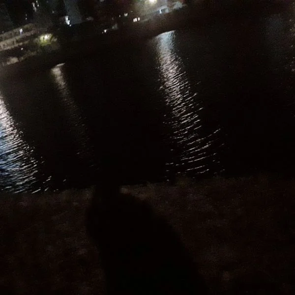 夜の姿