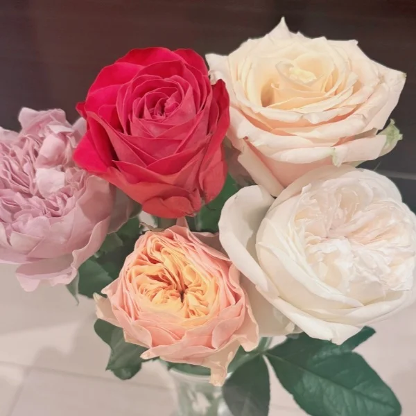 お礼💓