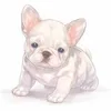 無料送迎、祝い金、個室待機...多すぎる待遇でお待ちしてますのサムネイル