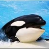 ※※お客様払いフルバックキャンペーン制度導入実施中※※のサムネイル