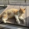 面接の人ってどんな人？？のサムネイル