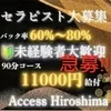 premiumセラピストシステムのサムネイル
