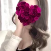 レイ