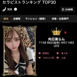 🩵🌻🩷向日葵らん🩷🌻🩵