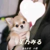星乃みる