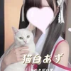 猫白あず