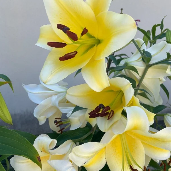 本日もありがとうございました🥰