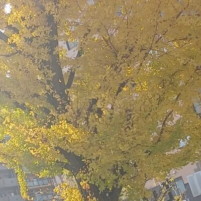 🍀💥人気セラピストのリオナさん、明日空き🈳💥🍀