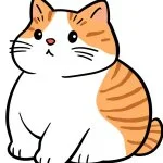 採用担当のたなかさん