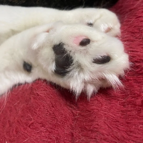 久しぶりの〜