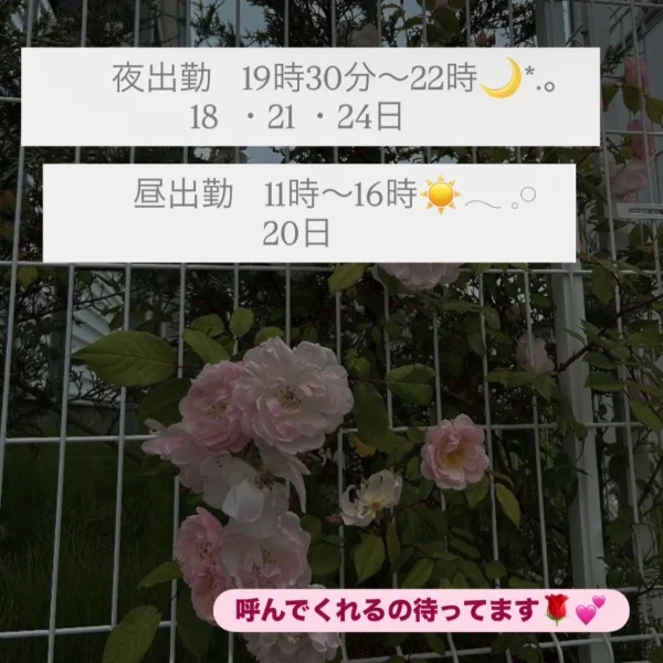 いろは　出勤お知らせ📢