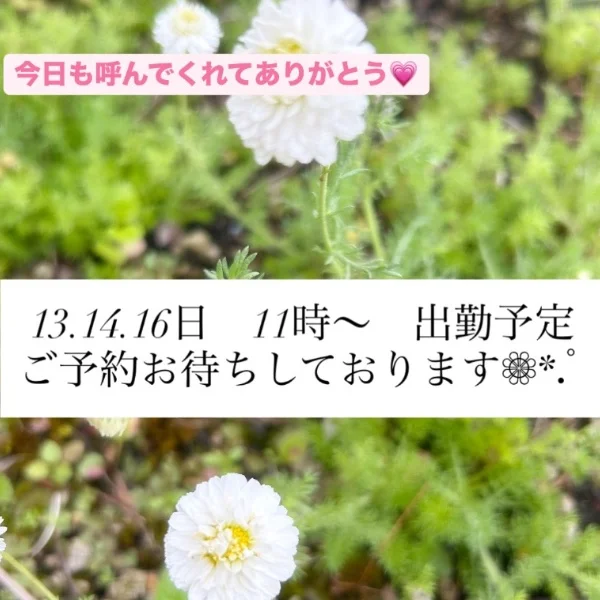 来週いるよ- ̗̀📣