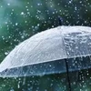 梅雨のジメジメを吹き飛ばす！のサムネイル