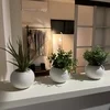 🌷受付担当ブログ4日目🌷のサムネイル