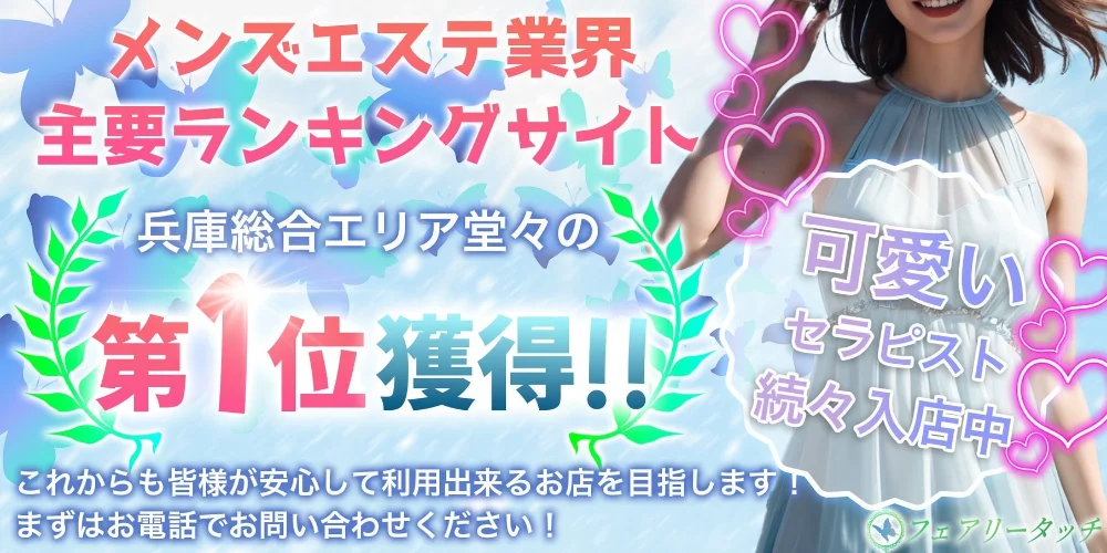 フェアリータッチのカバー画像