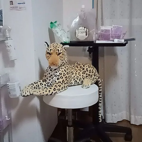 当店の導入オプションをご紹介いたします