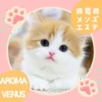 採用担当のうれしのさん