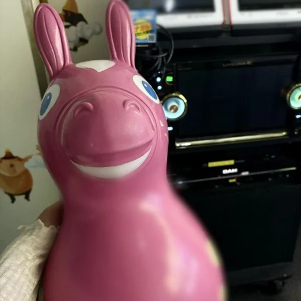 ありがとうございました( ⌯ﾉㅿﾉ)