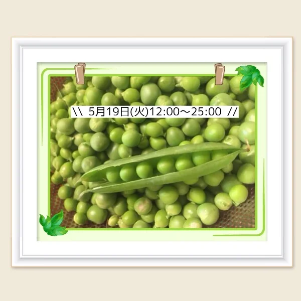 🫛📢 本日の豆の出荷情報 📢🫛