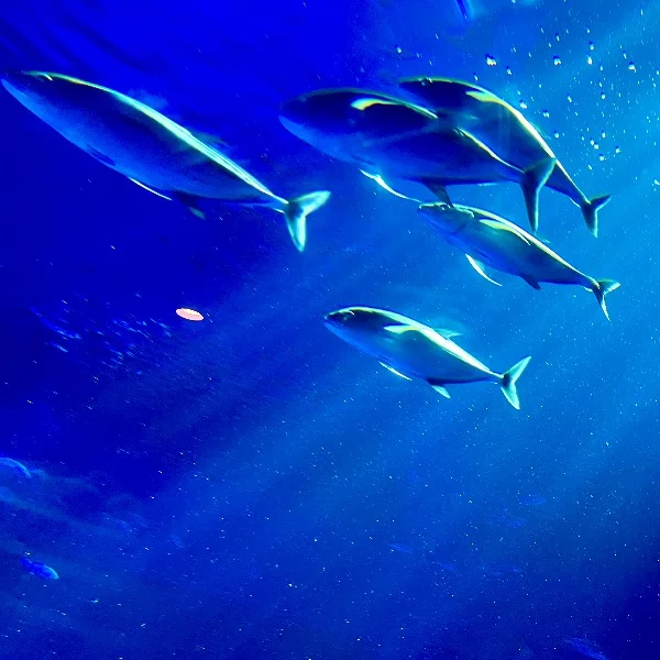 出勤終わり〜！