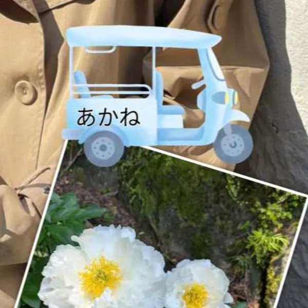 あかねです🤗
