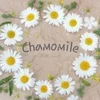 Chamomile〜カモミール〜