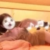 きらり