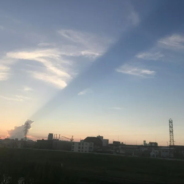 おはようございます💐